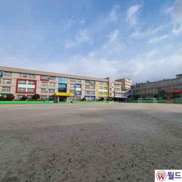 춘천 효제초