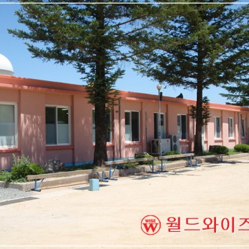 청송 화목초