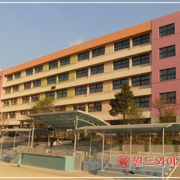 문백초